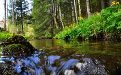Unser Wasser für alle sichern